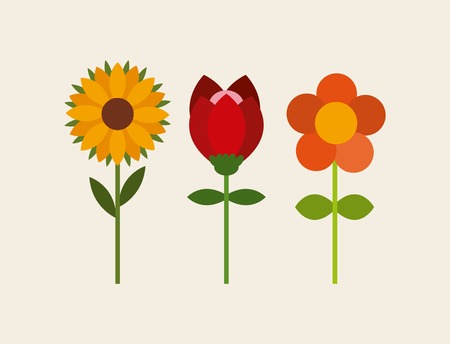flowers garden design, vector illustration  のイラスト素材