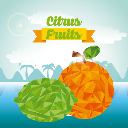 fresh fruits design, vector illustration eps10 graphicのイラスト素材