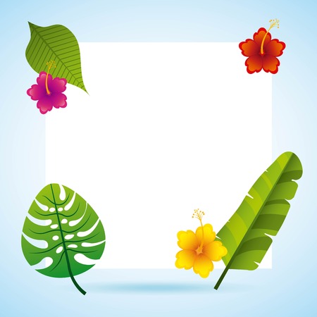 tropical nature design, vector illustration graphicのイラスト素材