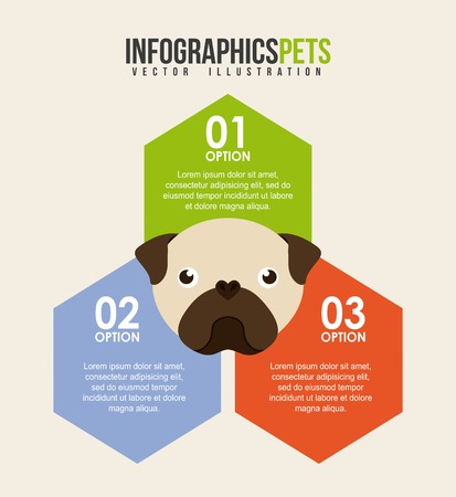 domestic animals design, vector illustration graphicのイラスト素材