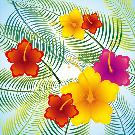 tropical flowers design, vector illustration eps10 graphicのイラスト素材