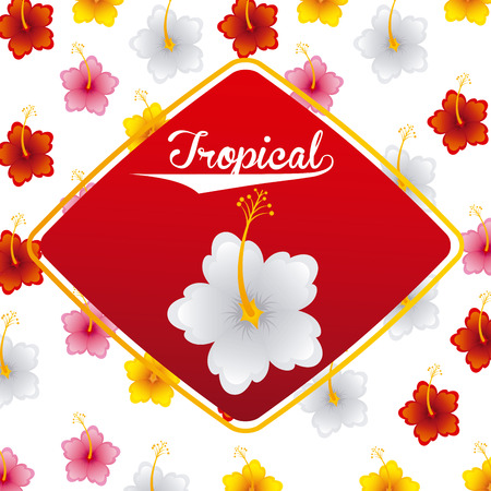 tropical flowers design, vector illustration eps10 graphicのイラスト素材