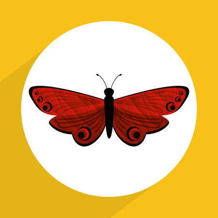 beautiful butterfly design, vector illustration eps10 graphicのイラスト素材