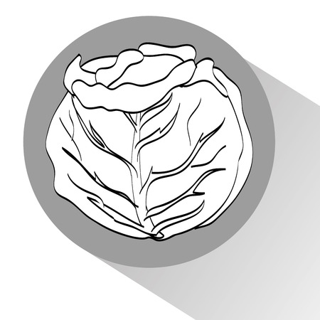 organic food designのイラスト素材