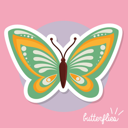 beautiful butterfly design, vector illustration eps10 graphicのイラスト素材