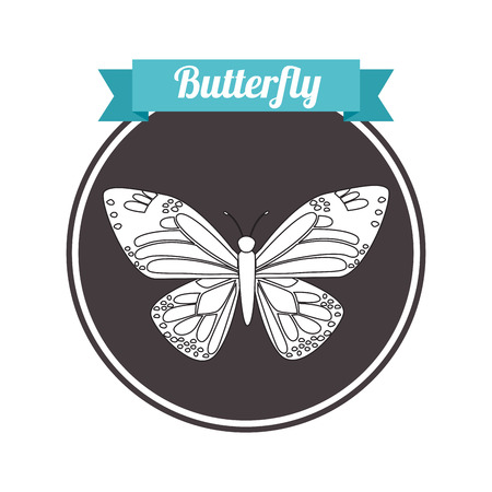 beautiful butterfly frame design, vector illustration eps10 graphicのイラスト素材