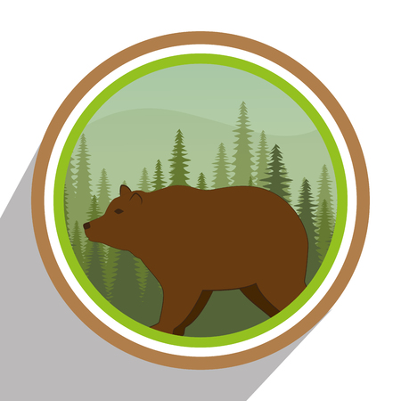 Forest natural parks and landscapes design ,vector graphic.のイラスト素材