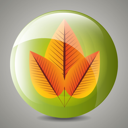 Leaf and leaves ecology graphic design, vector illustration eps10のイラスト素材