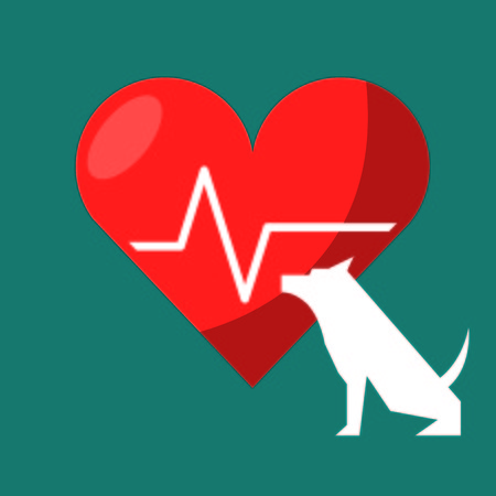 veterinary centre design, vector illustration eps10 graphicのイラスト素材