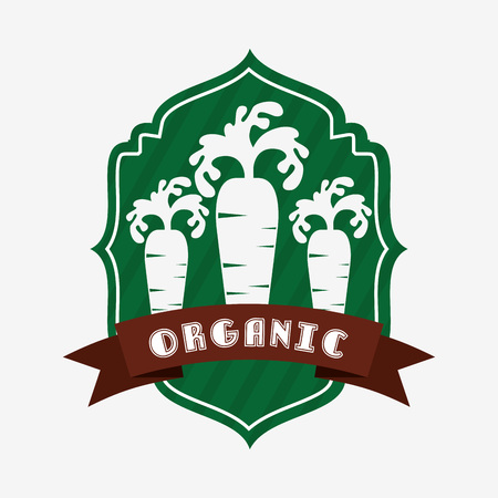 organic and fresh product design, vector illustration eps10 graphicのイラスト素材