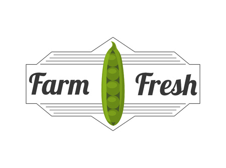 organic and fresh product design, vector illustration  graphicのイラスト素材