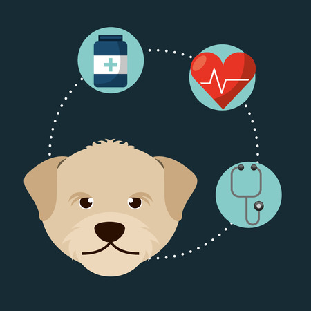 pet care design, vector illustration eps10 graphicのイラスト素材