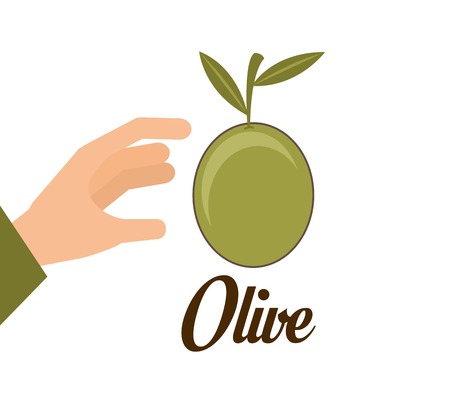 olive oil design, vector illustration eps10 graphicのイラスト素材
