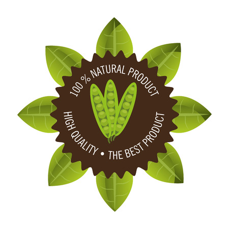 Natural and organic product graphic design, vector illustration のイラスト素材