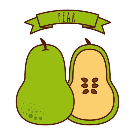 tropical fruit design, vector illustration eps10 graphicのイラスト素材