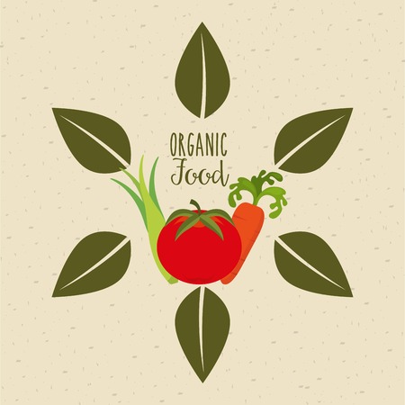 health and organic food design, vector illustration eps10 graphicのイラスト素材