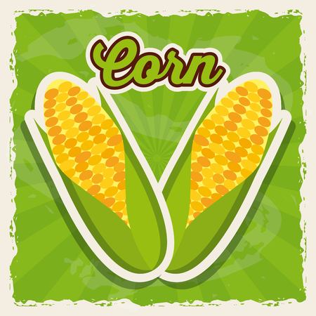 fresh corn design, vector illustration eps10 graphicのイラスト素材
