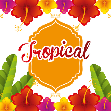 tropical paradise designのイラスト素材