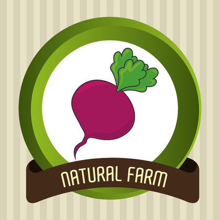Natural food product grahic design, vector illustrationのイラスト素材