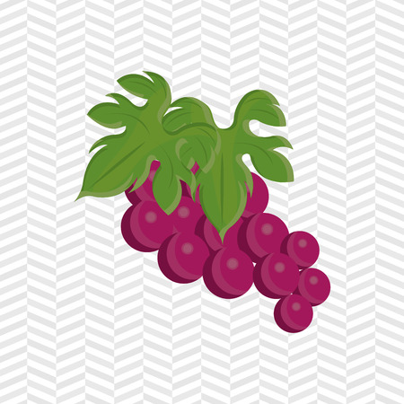 grapes icon design, vector illustration eps10 graphicのイラスト素材