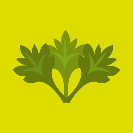 fresh vegetables design, vector illustration   graphicのイラスト素材