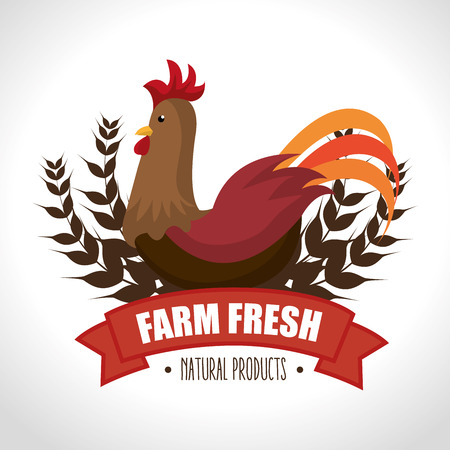 farm fresh design, vector illustration eps10 graphicのイラスト素材
