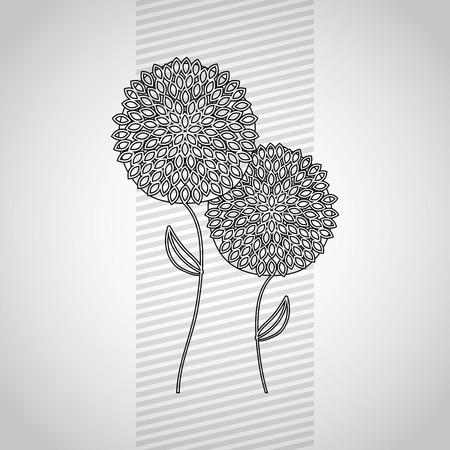 flower isolated design, vector illustration eps10 graphicのイラスト素材