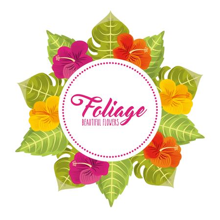 foliage of beautiful flowers design, vector illustration   graphicのイラスト素材