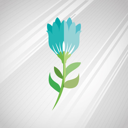 beautiful flower  design, vector illustration eps10 graphicのイラスト素材