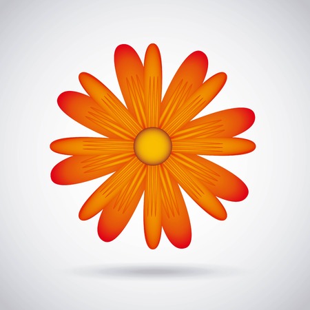 floral decoration design, vector illustration eps10 graphicのイラスト素材