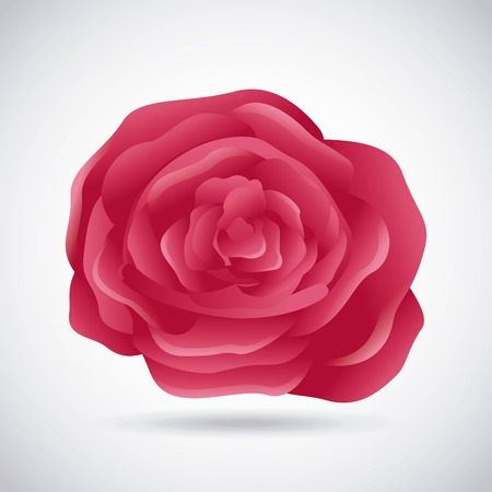 floral decoration design, vector illustration eps10 graphicのイラスト素材