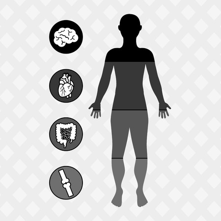 human anatomy design, vector illustration eps10 graphicのイラスト素材