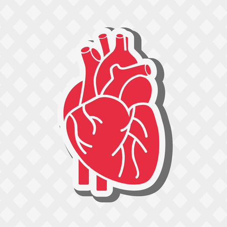 human anatomy design, vector illustration eps10 graphicのイラスト素材