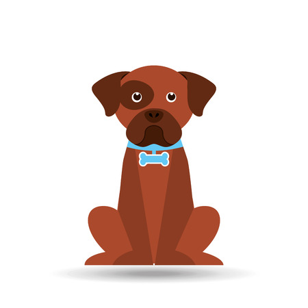 pet care concept design, vector illustration graphicのイラスト素材
