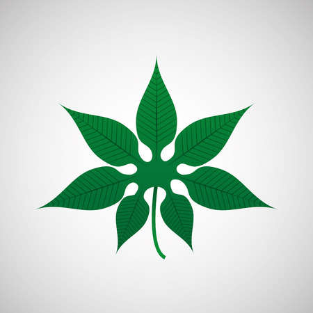 floral decoration design, vector illustration graphicのイラスト素材