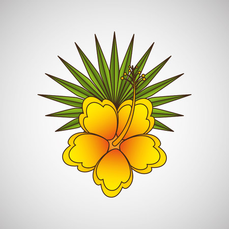 floral decoration design, vector illustration graphicのイラスト素材