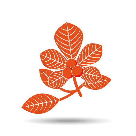 fall season design, vector illustration eps10 graphicのイラスト素材