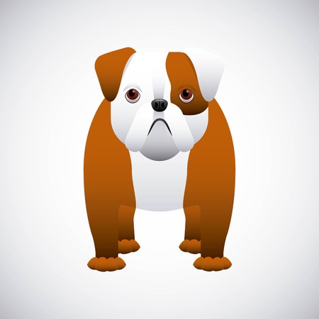 english bulldog design, vector illustration eps10 graphicのイラスト素材