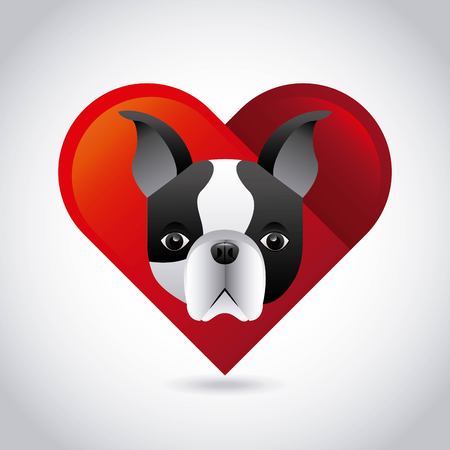 pet service design, vector illustration eps10 graphicのイラスト素材