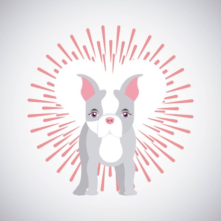 pet service design, vector illustration eps10 graphicのイラスト素材