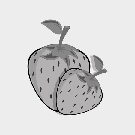 fresh fruit design, vector illustration eps10 graphicのイラスト素材