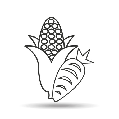 Nutritive food design, vector illustration  graphicのイラスト素材