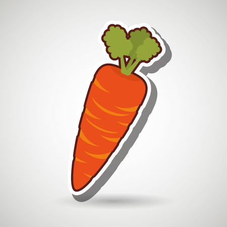 healthy food design, vector illustration eps10 graphicのイラスト素材