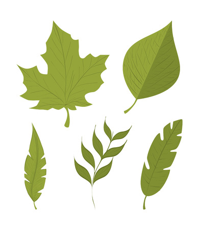 green leafs isolated design, vector illustration eps10 graphicのイラスト素材