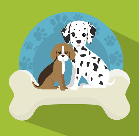 pet shop design, vector illustration eps10 graphicのイラスト素材