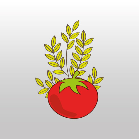 red tomato, vegetables and fruits, vector illustrationのイラスト素材