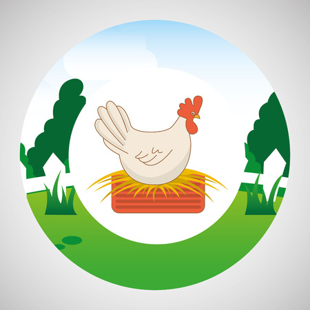 farm countryside animal hen isolated, vector illustrationのイラスト素材