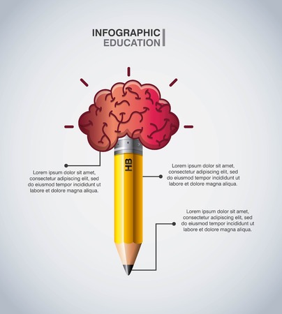 Infographic education concept represented by brain and pencil icon. Colorfull and flat illustration.のイラスト素材