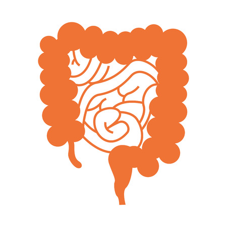 bowels organ human isolated icon vector illustration designのイラスト素材