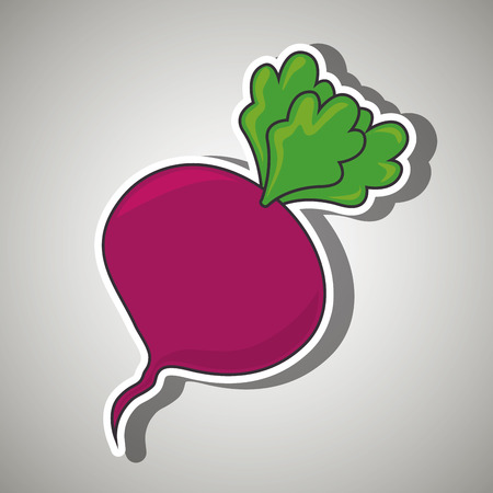 Nutritive food design, vector illustration  graphicのイラスト素材